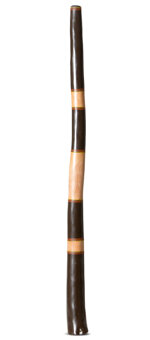 Jesse Lethbridge Didgeridoo (JL186)